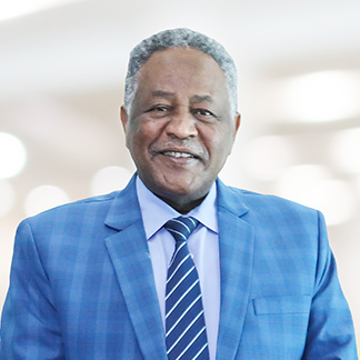 Magdi Ahmed Mahdi Ibrahim